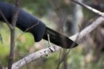 Mora Bushcraft – Bild 2